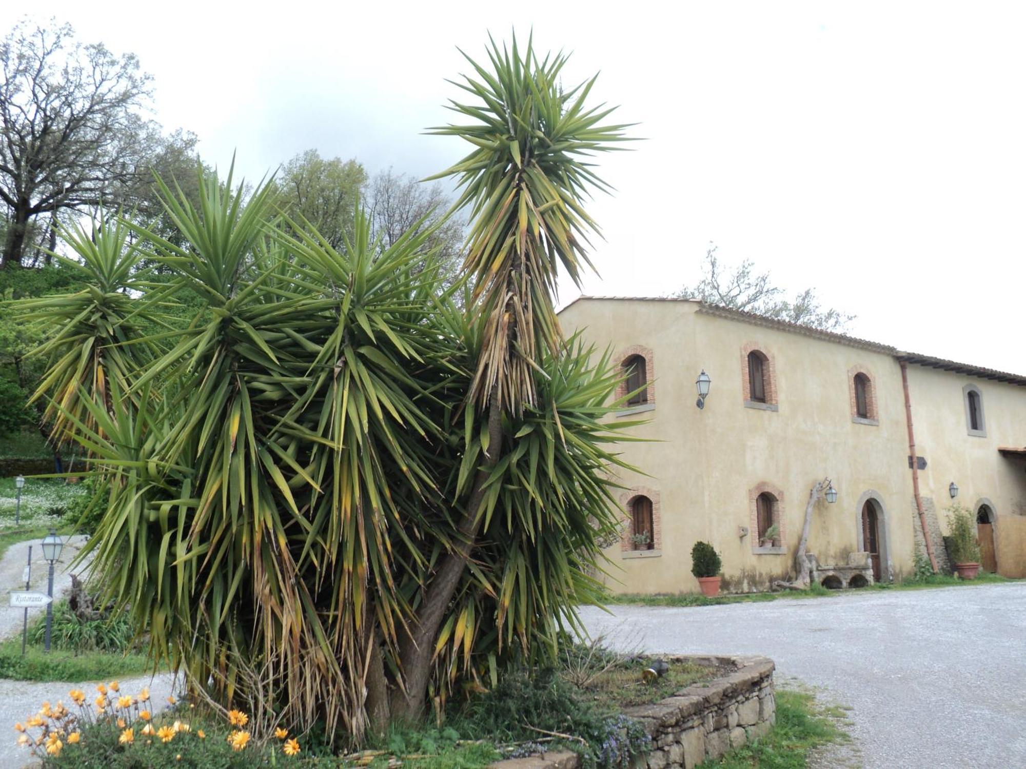 Agriturismo Il Daino Vila San Piero Patti Exterior foto